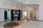 Apartament 4 camere ultracentral - 6