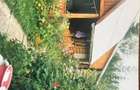 Casa de Vacanta - Toplita, Harghita - 6
