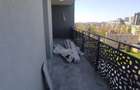 Apartament 3 camere mutare rapida 8 min metrou Nicolae Teclu - 4