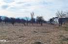 Teren intravilan pentru Investitie!,933mp in Ghimbav, 50 euro/mp neg. - 8