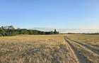 Ferma 4 Hectare Oportunitate! - 4