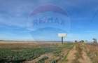 Teren extravilan de vanzare 17500 mp, deschidere 27m la DN1, Ploiesti