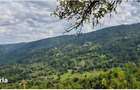 Casa individuala cu 10 hectare teren,4 camere, anexa, Matacina - 3