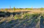 Teren 5000m2 Targoviste - ZONA INDUSTRIALA C.O.S. TGV - 4