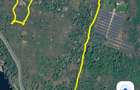 Vanzare teren 1000 mp Tancabesti