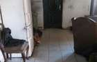 Vind casa la curte ,zona Zetari 53000 E