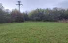 Teren intravilan in Padureni - Chinteni, 3200 mp, intre case - 1