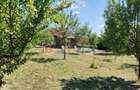 Casuta de vacanta Hideaga | teren 30 ari | liniste | acces facil - 4
