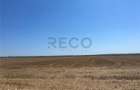 RECO Teren extravilan Ucuris- Olcea 44 000 mp - 4
