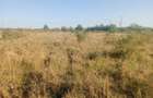 Targu Neamt, Punct Manesti, cota parte 1/2, ID: R2759104 - 3