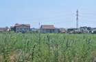 OCAZIE! EFORIE NORD, TEREN DE 1.666 MP, PRET 185.000 EURO - 6