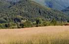 Vand teren Breaza Fagaras