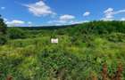 TEREN INTRAVILAN TOMESTI,OSOI,2800 mp - 49.500 Euro