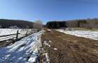 Teren intravilan 4521mp langa padure-valea Doftanei -Calea Brasovului - 9