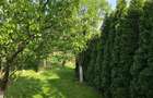 Vila spa?ioasa, complet mobilata, Branistari Giurgiu - 12