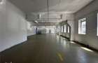 Spatii comerciale birouri Calea Chisinaului Leroy de la 67mp la 500mp - 2