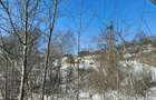 Teren situat in Predeal - 3
