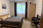 Apartament cu 1 camera de inchiriat in zona Complexului Studentesc - 2
