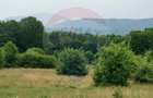 Teren ideal pentru glamping in Vladeni, aproape de Bra?ov - 2