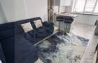 Apartament 2 camere-Perla Residence- inchiriere - 5