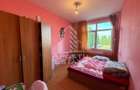 Apartament cu 1 camera de vanzare , etaj intermediar, Blascovici - 5