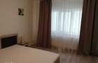 Pers. fizica apartament 1 camera dec 42 mp Bucium 300 euro - 6