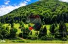 Teren intravilan 2500mp | Zarne?ti | Parcul Na?ional Piatra Craiului