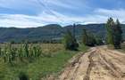 Teren de vanzare Calimanesti - Valcea