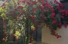 De vanzare, vila deosebita, in LAZU, 174 mp ?i 300mp teren - 7