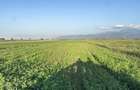 Teren extravilan de vanzare -5750 mp- deschidere la DJ 112B- Intrarea
