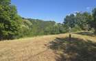 15 Hectare teren la munte ?inutul Padurenilor - 3