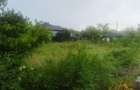 Teren intravilan 1321 mp, deschidere stradala 45 m - 4