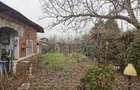 Vand casa Gratia Teleorman - 1