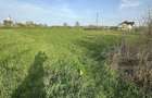 Teren intravilan in Tataresti, Satu Mare - 2