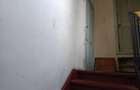 CASA SINGUR CURTE PARCUL CAROL TEREN IN PROPRIETATE 620MP POTENTIAL ENORM DIVERS - 6