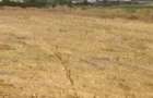 Vand teren intravilan in Simnicu de jos(Releu Tv) - 4