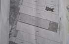 Vand teren daia noua urgent 960 m2 - 5