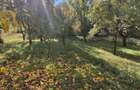 Teren de 6800 mp, în Berislăvești - 5