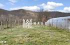 Casa 3 camere I Curte 814mp I Pivni?a I Garaj I Axente Sever - 3