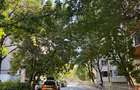 Ozana, metrou 1 decembrie 1918, ap.3 camere, decomandat, 70mp, et.3, 134.000Euro - 20