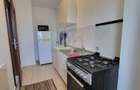Apartament 1 camera, modelul mare, 42 mp, ETAJ 2, Nicolina BULEVARD - 4
