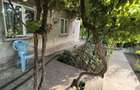 Casa de Vanzare 1265 M2 Cobadin - 6