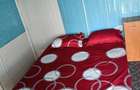 6 casute de inchiriat langa Alexandria in VitAnesti - 7