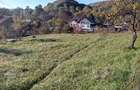 Vand teren superb 1028m2, in com. Valea Lunga jud Dambovi?a - 8