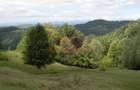 Teren intravilan de vanzare in Telega - 11