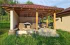 Vanzare casa 4 camere-microferma, cu panouri fotovoltaice - 2