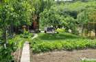 Apartament 2 camere ?i teren
