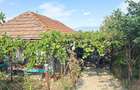 Vand casa in Deva, zona Viile Noi, suprafata totala de teren de 411 mp, - 1