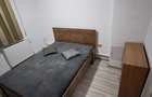 proprietar inchiriez apartament zona Timisoara Sud - 10