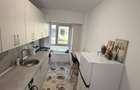 Apartament 1 camera Tatarasi podu fier Sorogari lac - 7